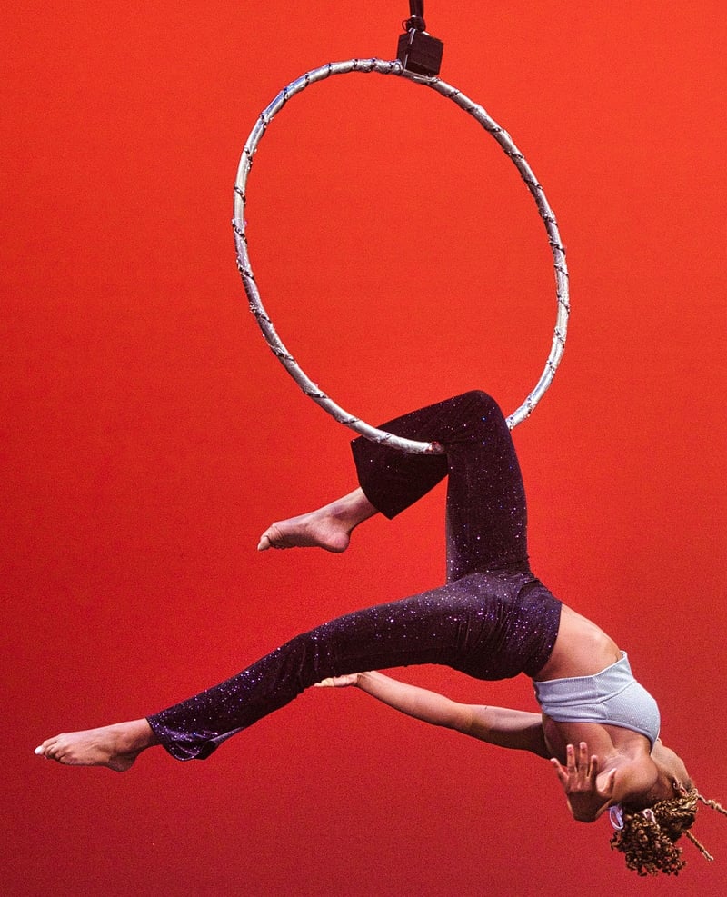 Forest Acrobats